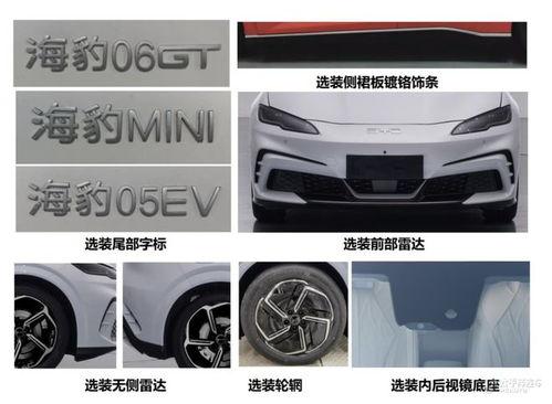 爆料比亚迪新车视频,颠覆传统，引领未来智能出行  第1张