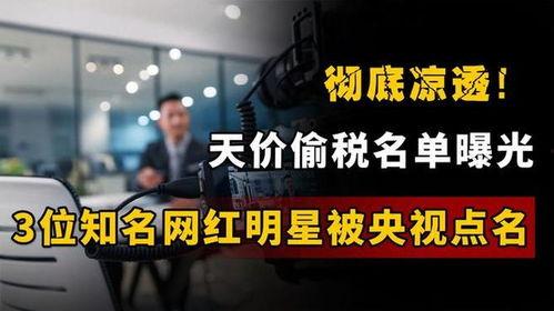 明星偷税爆料视频大全集,明星偷税事件视频大全集深度剖析  第1张